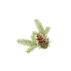 CdS. Пихта Дугласа (Pine Douglas) - 10 ml