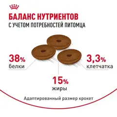 Royal Canin FCN Digestive Care сухой корм для взрослых кошек старше 1 года с чувст пищев 400 гр