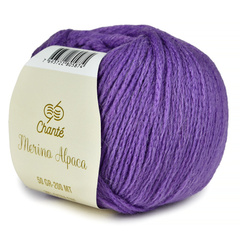 Chanté Merino Alpaca 5904