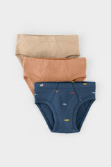 трусы/ уп  для мальчика  К 1928-3уп/пробковое дерево,бежевый,транспорт