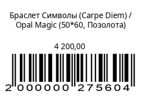 Браслет Символы (Carpe Diem)