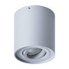 Светильник точечный Arte Lamp Falcon A5645PL-1GY