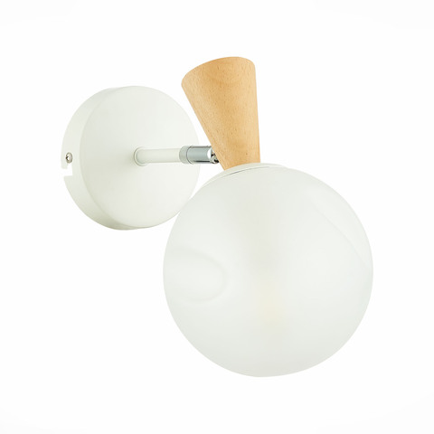 Светильник настенный Evoluce Catania SLE220701-01