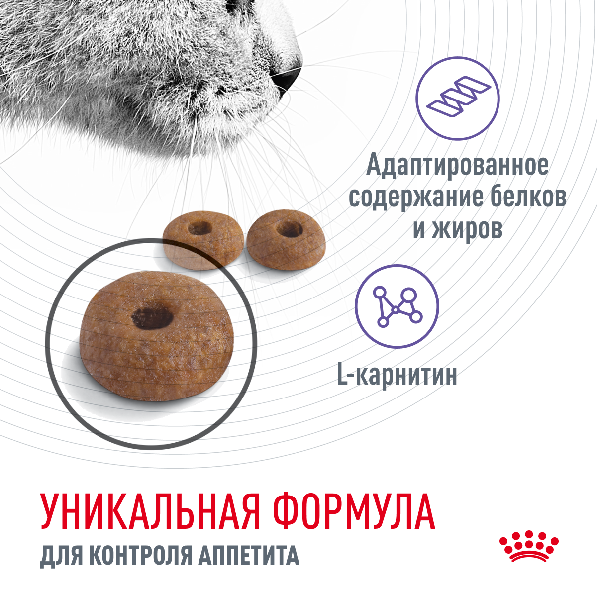 Сухой корм для кошек Royal Canin APPETITE CONTROL CARE для контроля  выпрашивания корма купить с доставкой в интернет-магазине зоогастроном.ру