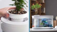 Акваферма 10 л (фильтр, крышка, грунт) Geometry Fish Tank Aquaponics Ecosystem (HF-JHYG001)