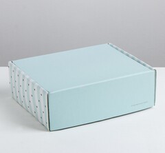 Коробка складная одиночная Прямоугольник «Удовольствие», 27*9*21 см, 1 шт.
