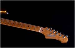 JET JS-300 GD - Электрогитара шестиструнная