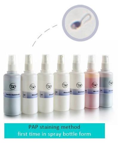 PAP Staining Method Sperm Morphology Analysis