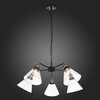 Люстра подвесная ST Luce Evoluto SL237.413.05