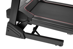 Беговая дорожка Titanium Masters Physiotech TCA