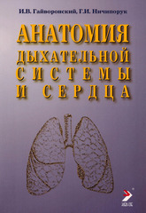 Анатомия дыхательной системы и сердца. Учебное пособие