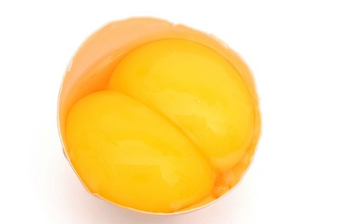 Яйцо СВ Двухжелтковое
