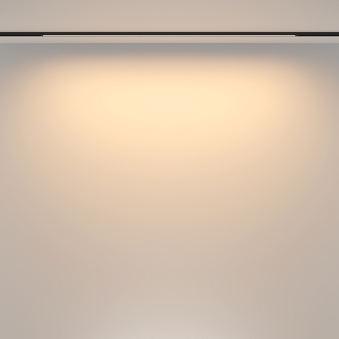 Трековый светильник Maytoni Basis TR173-1-24WTW-B