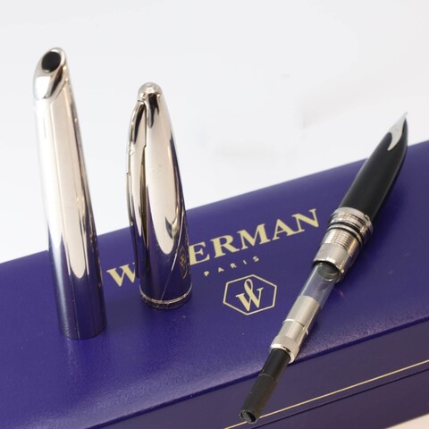 Ручка перьевая Waterman Carene Deluxe Silver Meridians CT, F (S0700170)