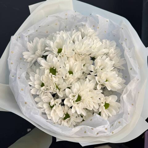 Хризантема 5шт