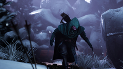 Winter Ember (для ПК, цифровой код доступа)