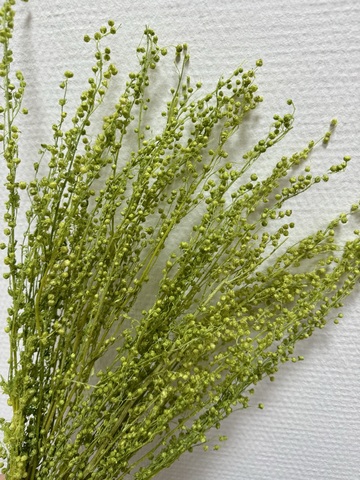 Сорго стабилизированный Салатно-зеленый