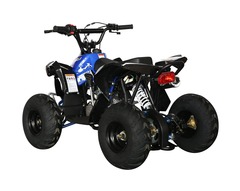 Детский бензиновый квадроцикл ATV CAT 50cc с электростартером