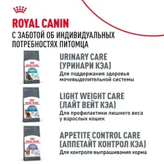 Royal Canin FCN Digestive Care сухой корм для взрослых кошек старше 1 года с чувст пищев 400 гр