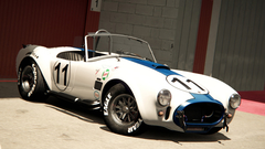 Assetto Corsa (для ПК, цифровой код доступа)