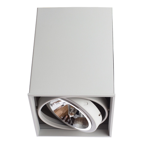 Светильник точечный Arte Lamp Cardani grande A5936PL-1WH