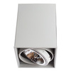 Светильник точечный Arte Lamp Cardani grande A5936PL-1WH
