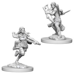 Nolzur's Marvelous Miniatures - Air Genasi Female Rogue