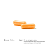 Витамин B2 Рибофлавин 5' фосфат, Riboflavin 5'-Phosphate, Thorne Research, 60 капсул 4
