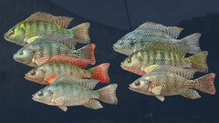 Ultimate Fishing Simulator - Kariba Dam (для ПК, цифровой код доступа)