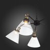 Люстра подвесная ST Luce Evoluto SL237.413.05