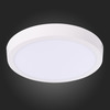 Светильник настенно-потолочный ST Luce ST112.532.18
