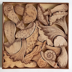 Деревянный пазл Грибы