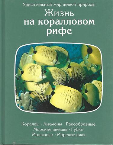 Жизнь на коралловом рифе