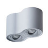 Светильник точечный Arte Lamp Falcon A5645PL-2GY
