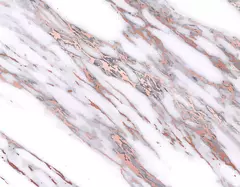 Гибкий мрамор M218WP_L