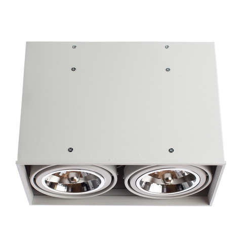 Светильник точечный Arte Lamp Cardani grande A5936PL-2WH