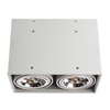 Светильник точечный Arte Lamp Cardani grande A5936PL-2WH