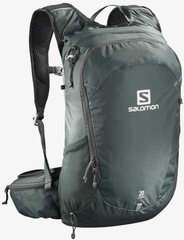 Картинка рюкзак мультиспортивный Salomon Trailblazer 20 Urban Chic/Alloy - 1