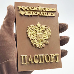 Силиконовый молд Паспорт РФ