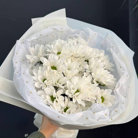 Хризантема 5шт