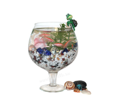 Морские ракушки для декора аквариума