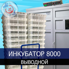 Инкубатор на 8000 яиц ИФ-8000-В-МЭЛ Выводной