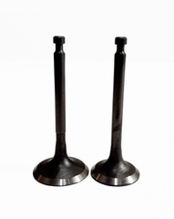 Клапаны (пара) LC175F-2,LC1P75F/500550076-0001