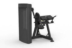 Бицепс/Трицепс сидя Spirit Fitness SP-4607. Стек 100 кг