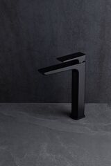 Смеситель для раковины Allen Brau Infinity 5.21002-31 черный матовый