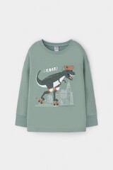 пижама  для мальчика  К 1567/холодная мята,динозавры