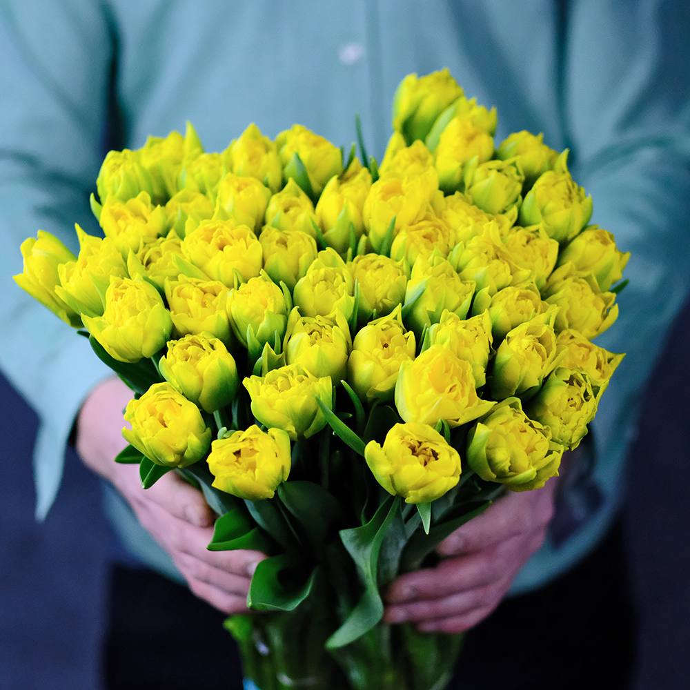 Тюльпаны пионовидные желтые Marie Jo от 9шт