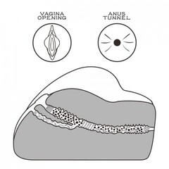Двойной мастурбатор Streetgirl's № 3 (вагина+анус)
