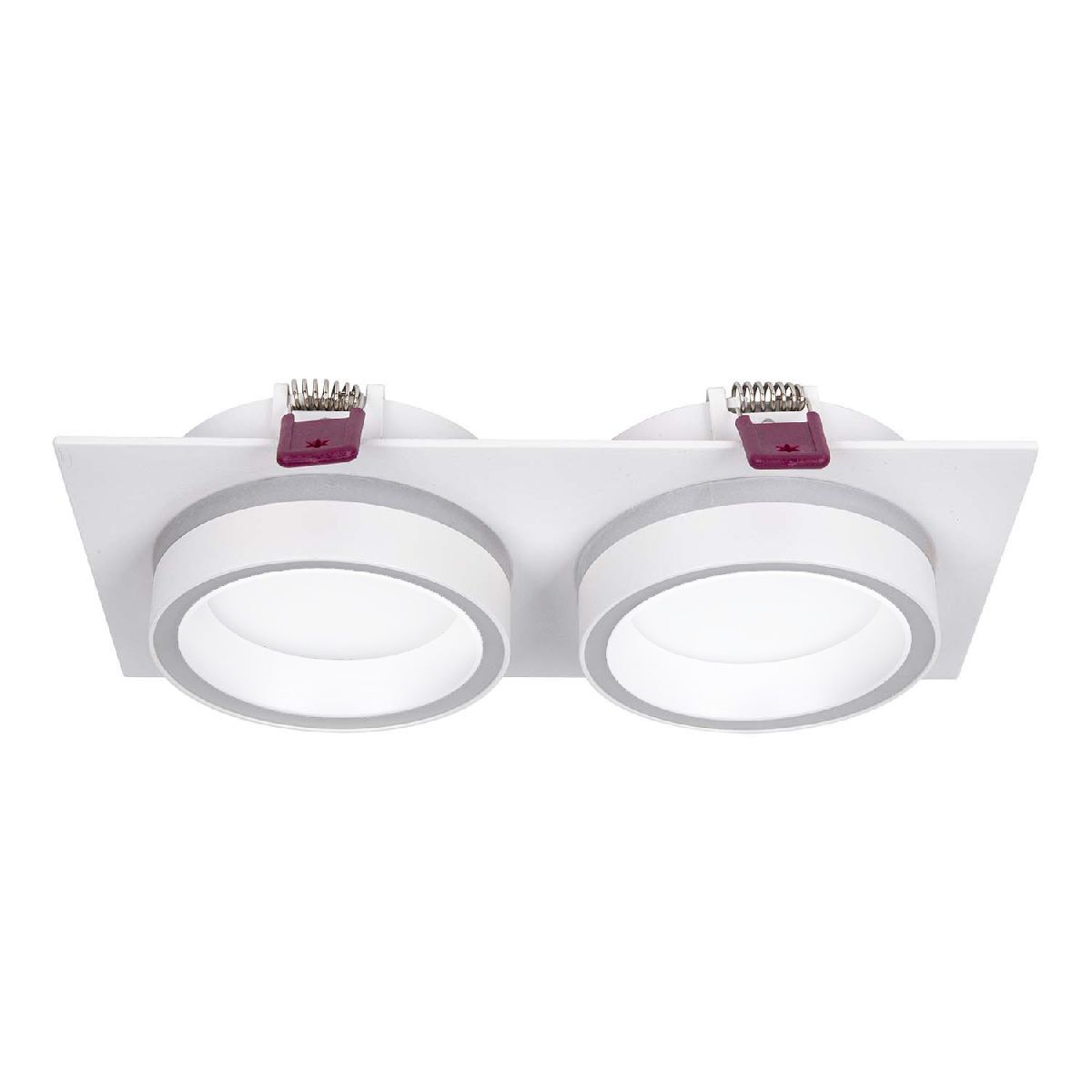 Встраиваемый светильник Favourite 4650-2C