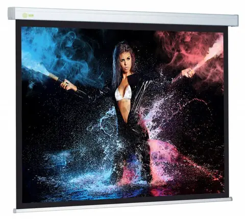 Экран Cactus 168x299см Wallscreen CS-PSW-168x299 16:9 настенно-потолочный рулонный белый